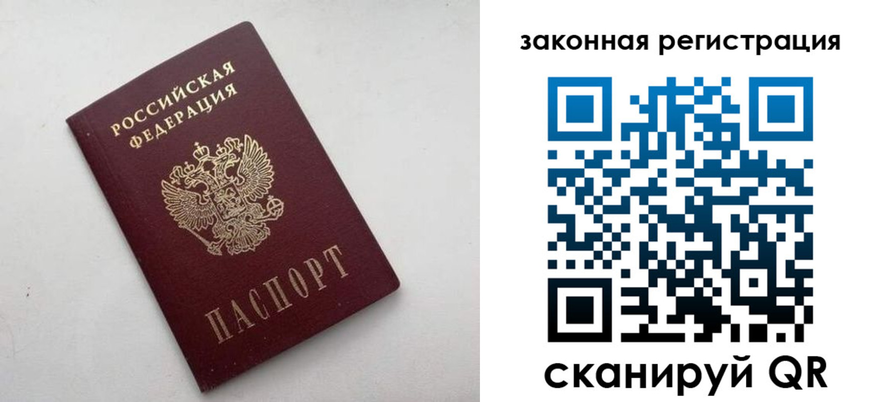прописка гарантия в Скопине